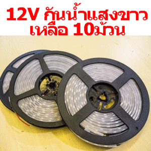 ไฟเส้นLED 12V 6500K IP65 กันน้ำ SPL012