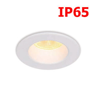 ดาวน์ไลท์-IP65-NOX-LED-1W